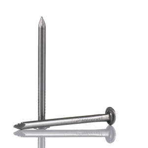 ERA Nail Wire Flat*100mm*200g