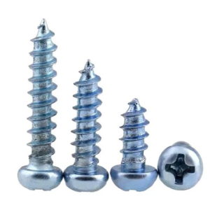 ERA Self Tap Screws*5.5x16*25Pc